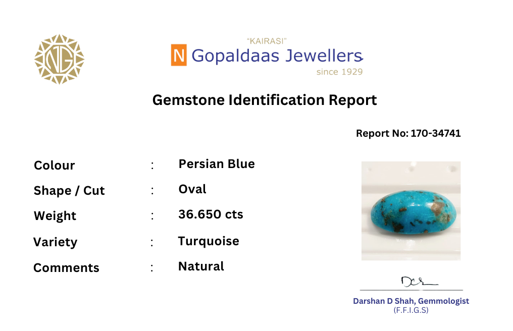 170-34741 - N Gopaldaas Jewellers