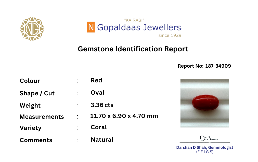 187-34909 - N Gopaldaas Jewellers