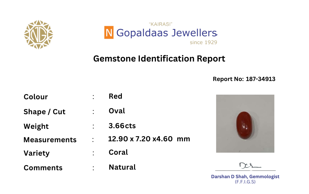 187-34913 - N Gopaldaas Jewellers