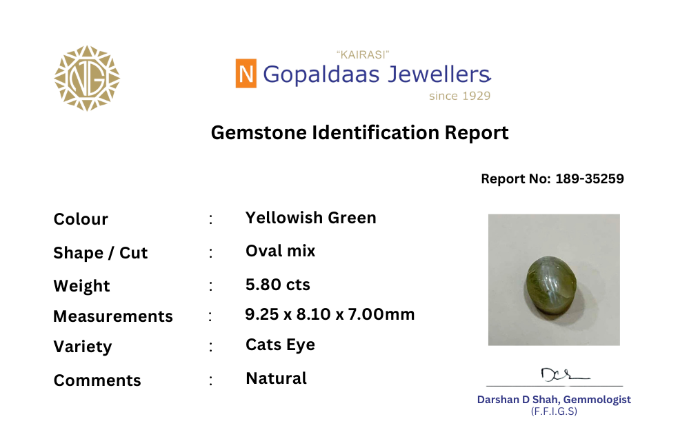 189-35259 - N Gopaldaas Jewellers
