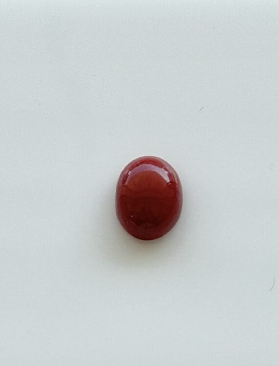 Natural Coral