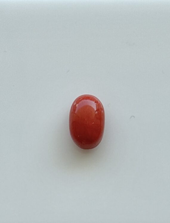 Natural Coral