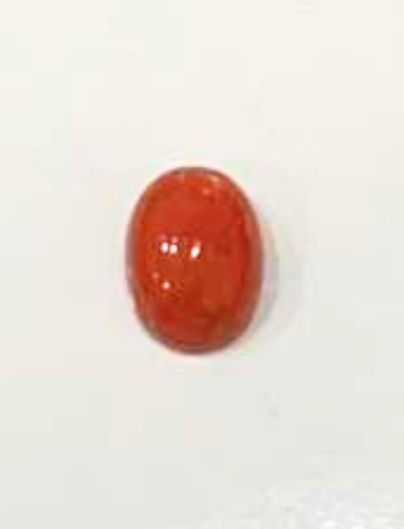 Natural Coral