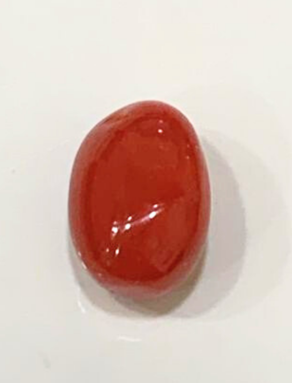 Natural Coral