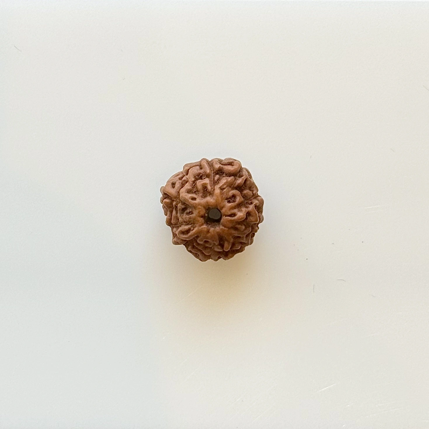 Gemstone Identification Report for a brown Rudraksha bead; shows measurements 1.50 x 8.70 mm
