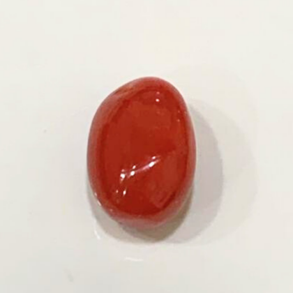 Natural Coral