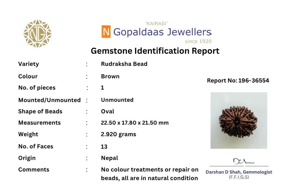 Rudraskha_196-36554_Cert - N Gopaldaas Jewellers Gemstone Identification Report for a brown Rudraksha bead; oval shape, 22.5 × 17.8 × 21.5 mm, Nepal origin (Gopaldaas Jewellers).